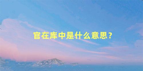 官在库中是什么意思？