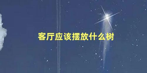 客厅应该摆放什么树