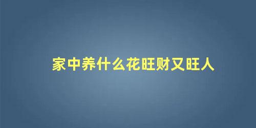 家中养什么花旺财又旺人