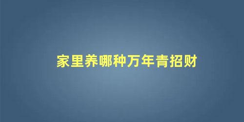 家里养哪种万年青招财