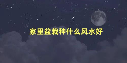 家里盆栽种什么风水好