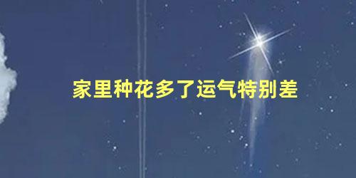 家里种花多了运气特别差