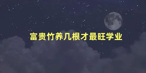 富贵竹养几根才最旺学业