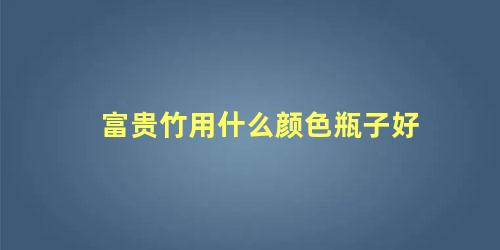 富贵竹用什么颜色瓶子好