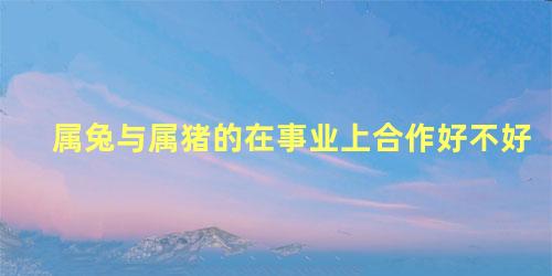 属兔与属猪的在事业上合作好不好