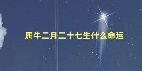 属牛二月二十七生什么命运