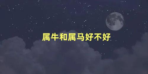 属牛和属马好不好
