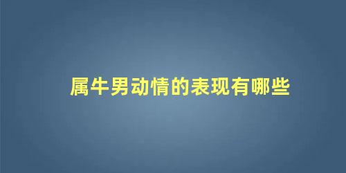 属牛男动情的表现有哪些