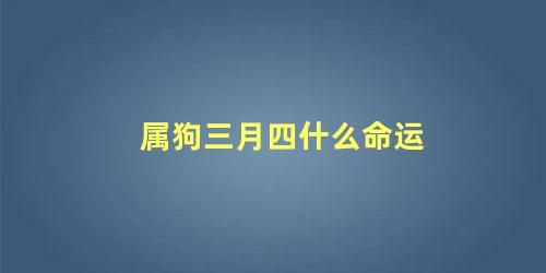 属狗三月四什么命运