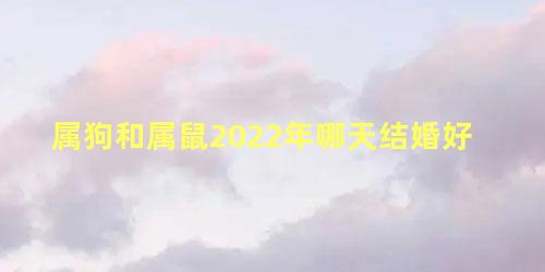 属狗和属鼠2022年哪天结婚好