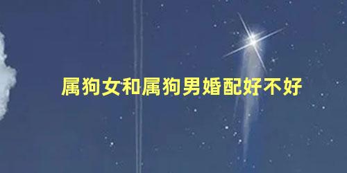 属狗女和属狗男婚配好不好