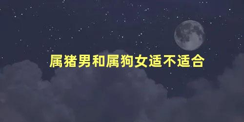 属猪男和属狗女适不适合