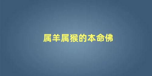 属羊属猴的本命佛