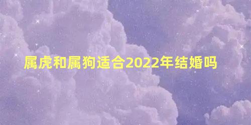 属虎和属狗适合2022年结婚吗