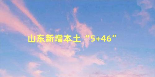 山东新增本土“5+46”