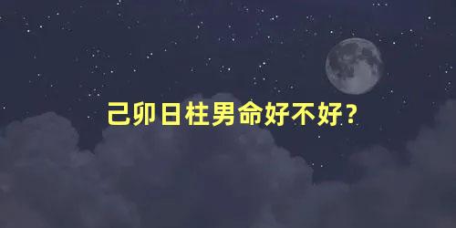 己卯日柱男命好不好？