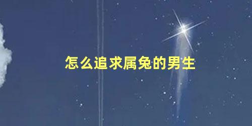 怎么追求属兔的男生