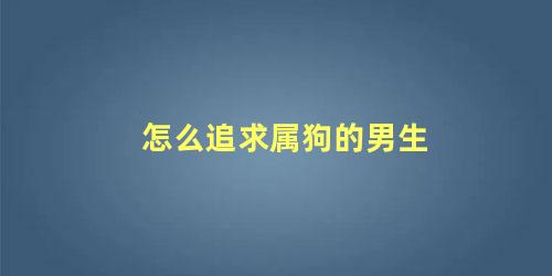 怎么追求属狗的男生