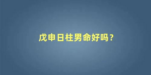 戊申日柱男命好吗？