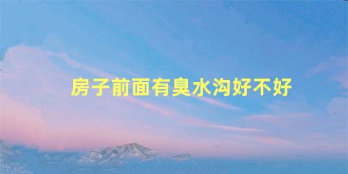 房子前面有臭水沟好不好