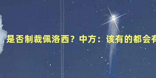 是否制裁佩洛西？中方：该有的都会有