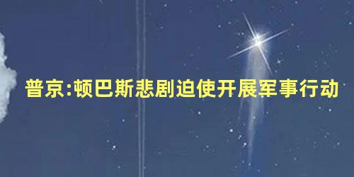 普京:顿巴斯悲剧迫使开展军事行动