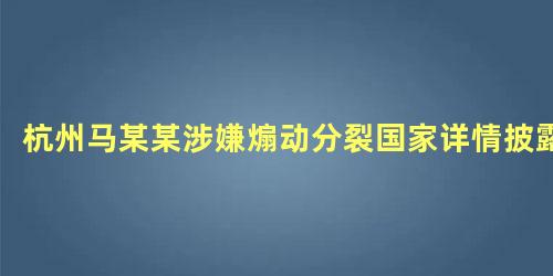 杭州马某某涉嫌煽动分裂国家详情披露