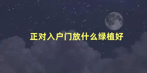 正对入户门放什么绿植好