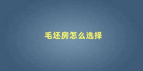 毛坯房怎么选择