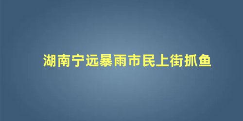 湖南宁远暴雨市民上街抓鱼