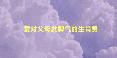 爱对父母发脾气的生肖男