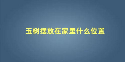玉树摆放在家里什么位置