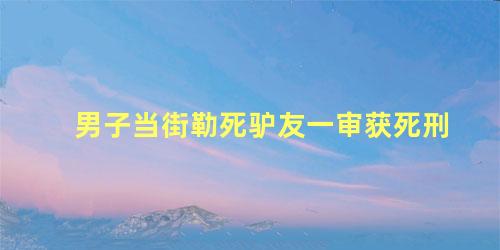 男子当街勒死驴友一审获死刑