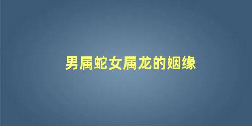 男属蛇女属龙的姻缘