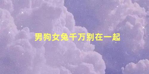 男狗女兔千万别在一起