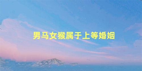 男马女猴属于上等婚姻