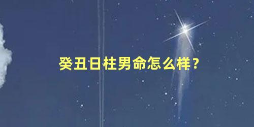 癸丑日柱男命怎么样？