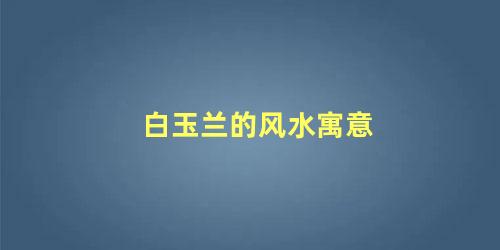 白玉兰的风水寓意