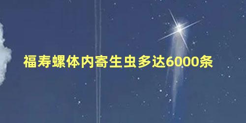 福寿螺体内寄生虫多达6000条