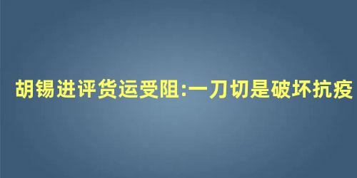 胡锡进评货运受阻:一刀切是破坏抗疫