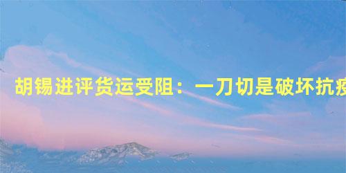 胡锡进评货运受阻：一刀切是破坏抗疫