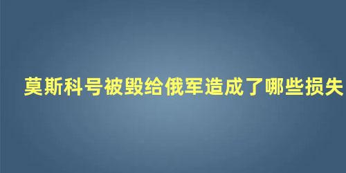 莫斯科号被毁给俄军造成了哪些损失