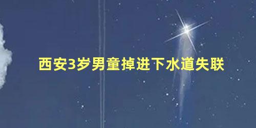 西安3岁男童掉进下水道失联