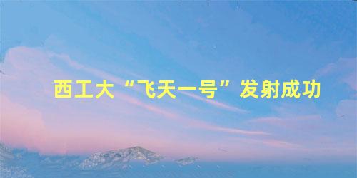 西工大“飞天一号”发射成功