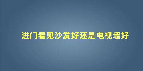 进门看见沙发好还是电视墙好