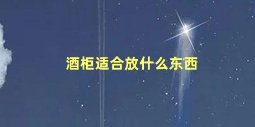 酒柜适合放什么东西