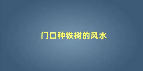门口种铁树的风水