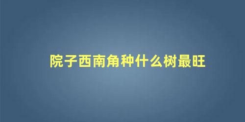 院子西南角种什么树最旺