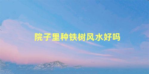 院子里种铁树风水好吗