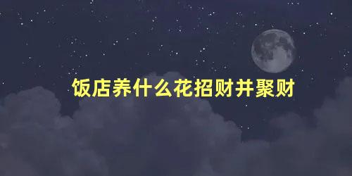 饭店养什么花招财并聚财